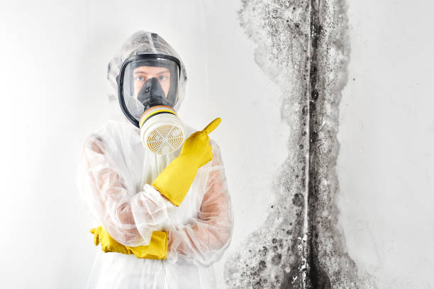 Mold Remediation for Vacation Homes in Watertown, SD